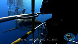 Click for video preview
(Opens in new window) Click for video preview
(Opens in new window)